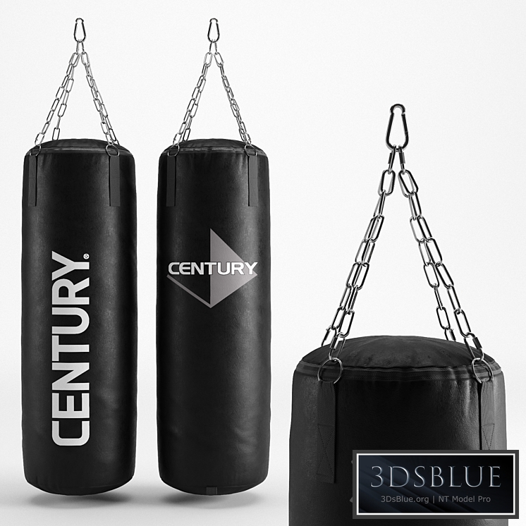 CENTURY HEAVY BAG