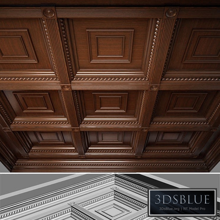 Wooden ceiling. Caissons