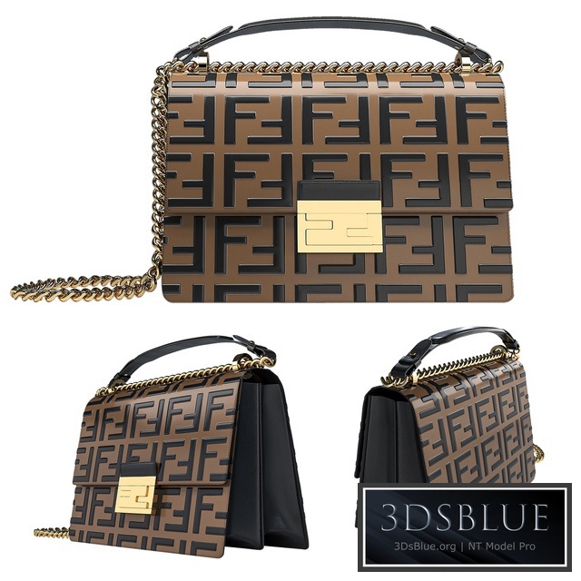 Fendi bags KAN U