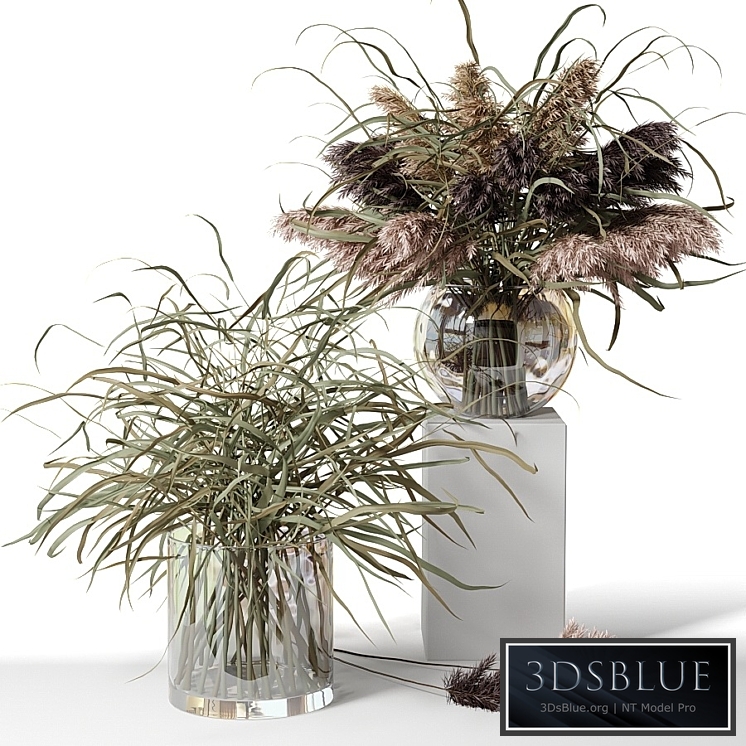 Dry herb bouquets in glass vases