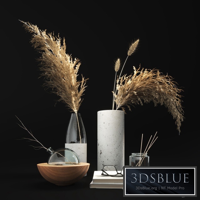 Decorative set with dry plants 01