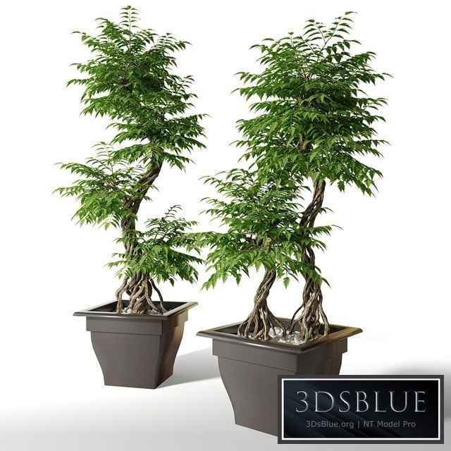 Large artificial tree Fruticosa