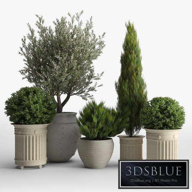 prescott planter set