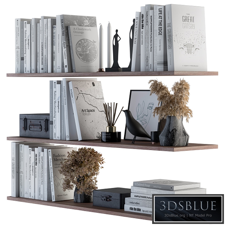Decorative Set on Shelves White book and Dried Plants