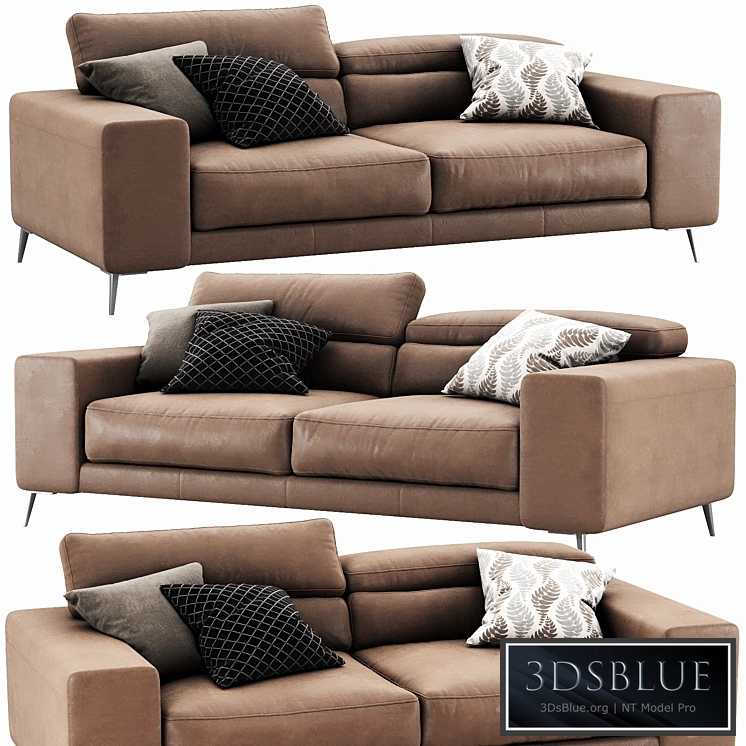 Ditre italia anderson