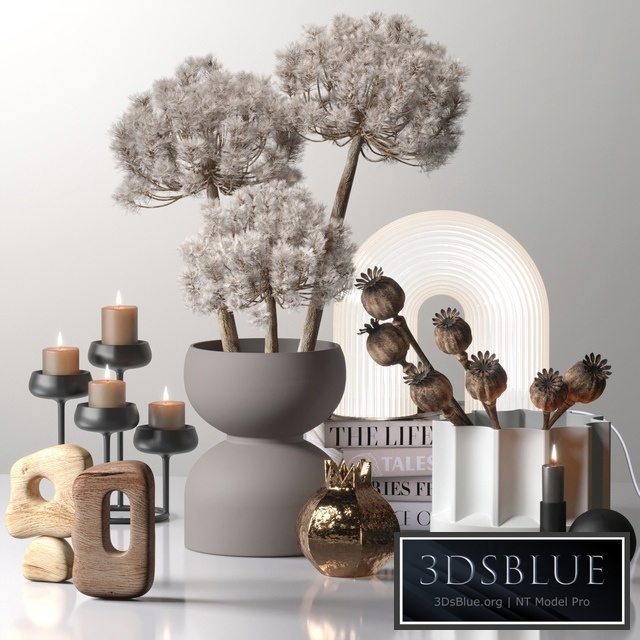 Decor_set_03 with Fluffy Dried Flower