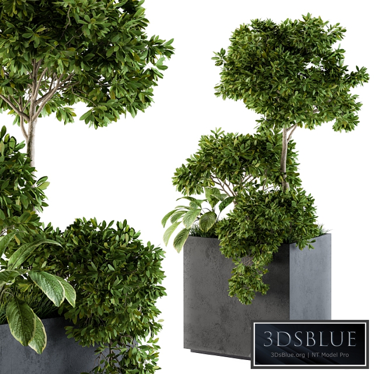Outdoor Plants Concrete Box - Set 58
