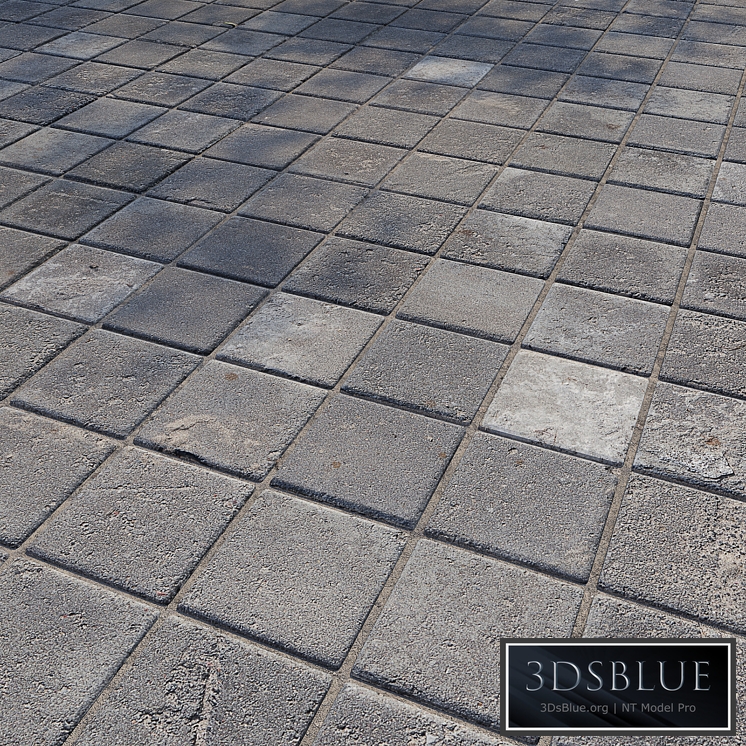 Paving stones 7