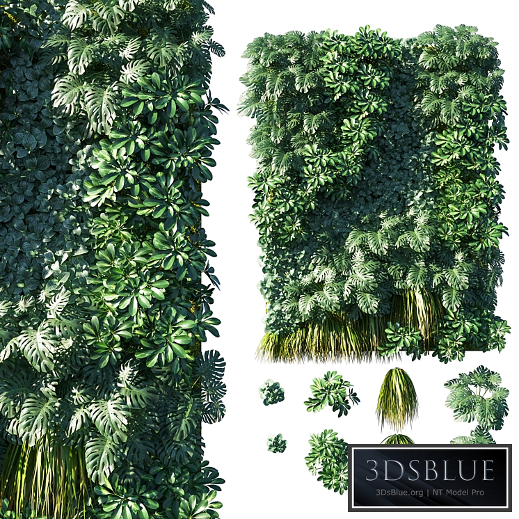 Vertical garden_ Green wall 02