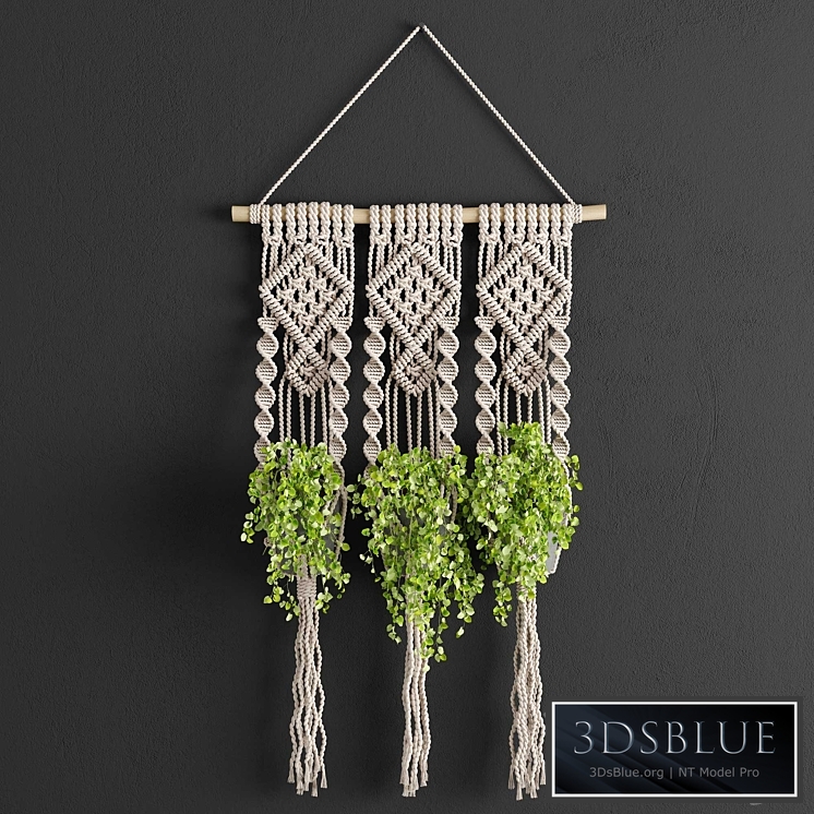 Macrame Planter