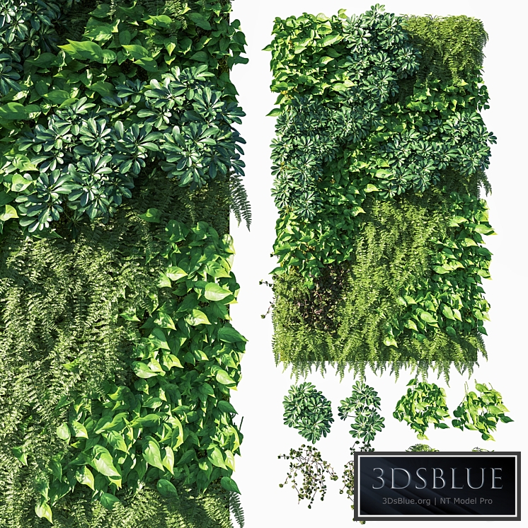 Vertical garden_ Green wall 03