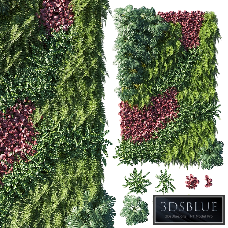 Vertical garden_ Green wall 04