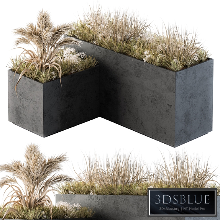 Outdoor Concrete Plant Box with Cereals and Dried Plants