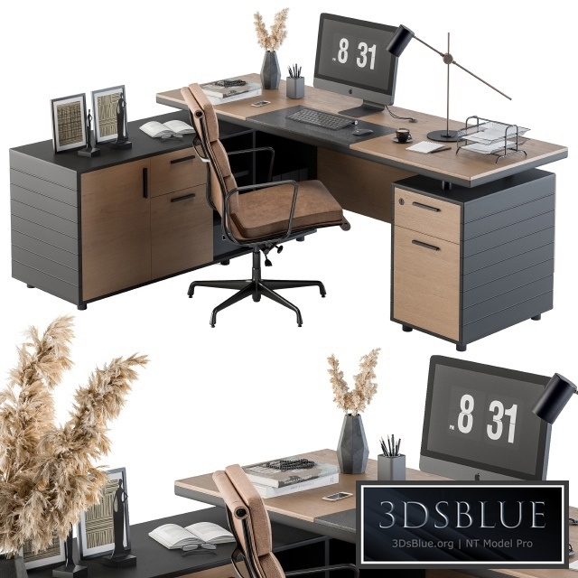 Office Furniture - Manager Set 06