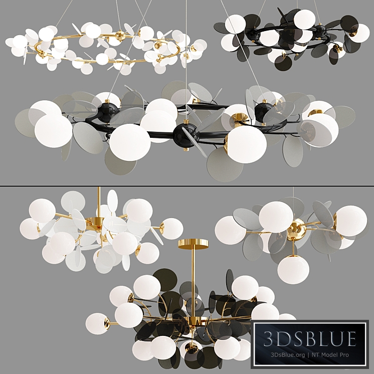 Matisse Self Collection