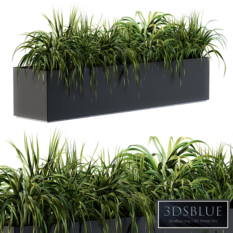 Ranch Grass plants in box - Outdoor Set 63