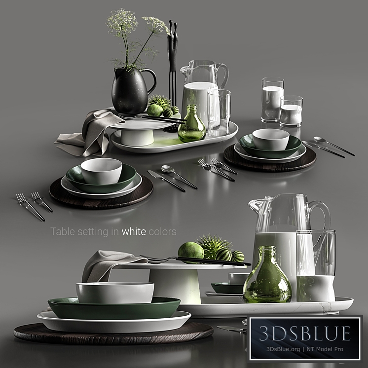 Table setting in white colors