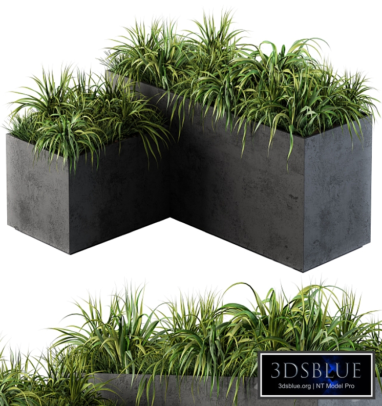 Outdoor Concrete Plant Box with Cereals and Green Grass
