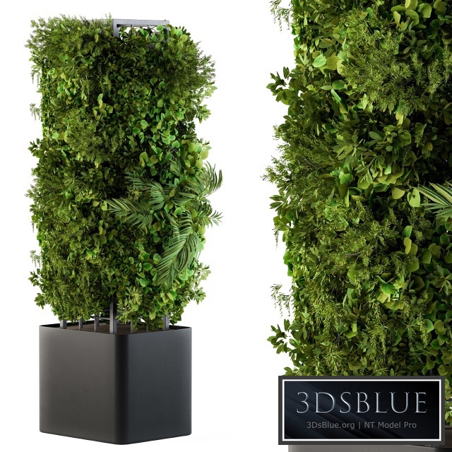 Outdoor Plant Box - Vertical Garden 02