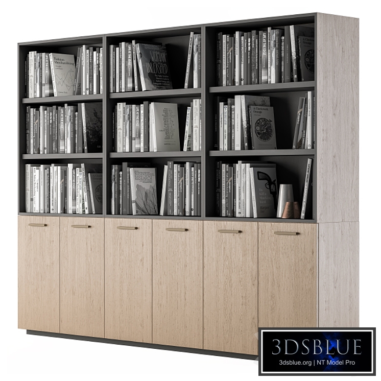 Simple Library with black and white Books