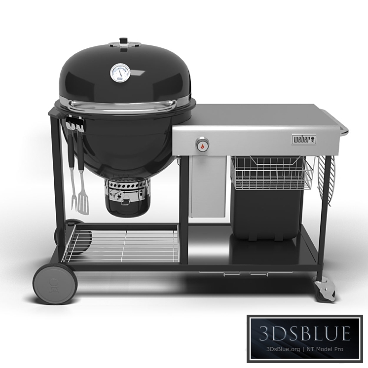 Grill Weber Summit Charcoal