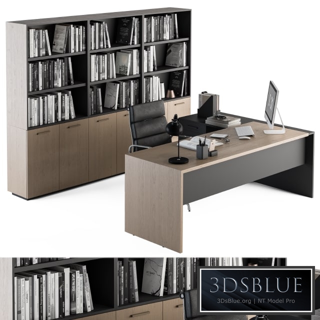 Office Furniture - Manager Set 09