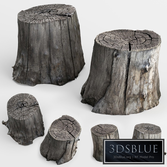 photoscan of two stumps