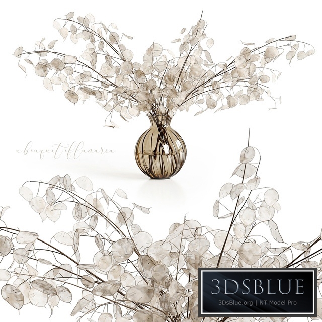 A bouquet of lunaria