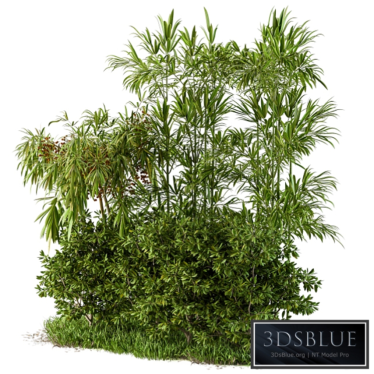 Garden set tropical and bush