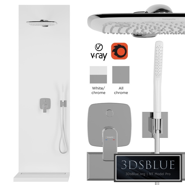 Hansgrohe Puravida Shower Set