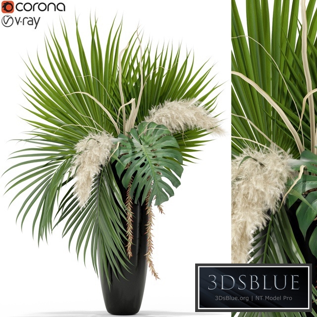 Plants collection 368