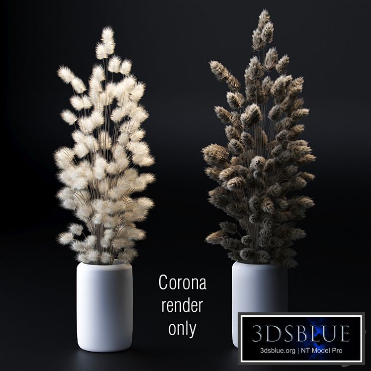 Bouquet of dried flowers. 2 models