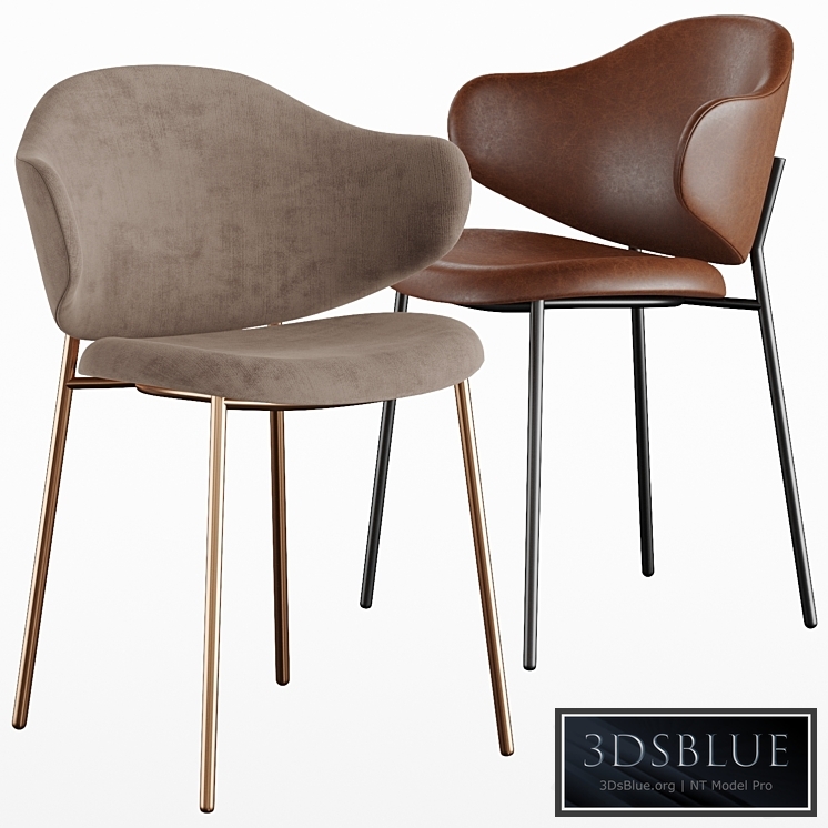 Holly chair Calligaris