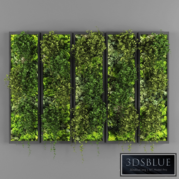 Vertical garden 110