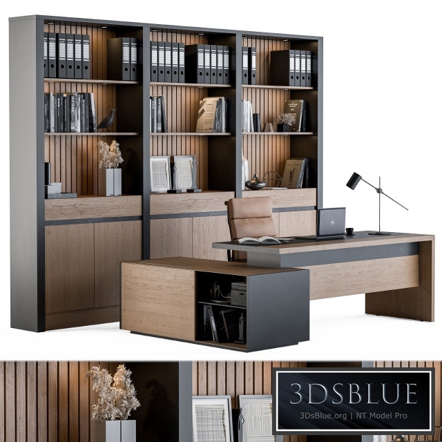 Office Furniture - Manager Set 09