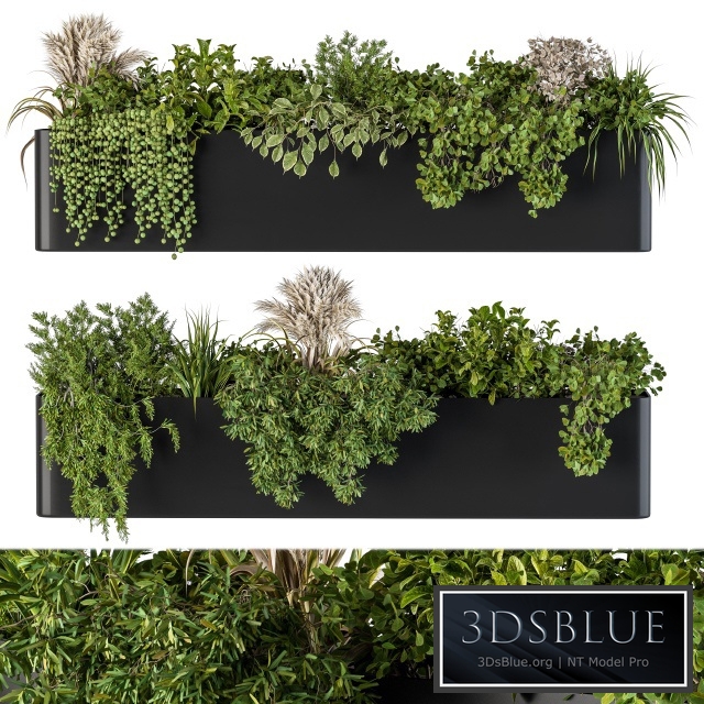 Plant Box on Wall 04