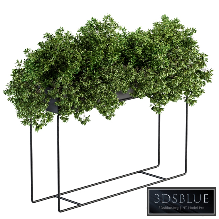 Black Box Plants on stand - Set 80