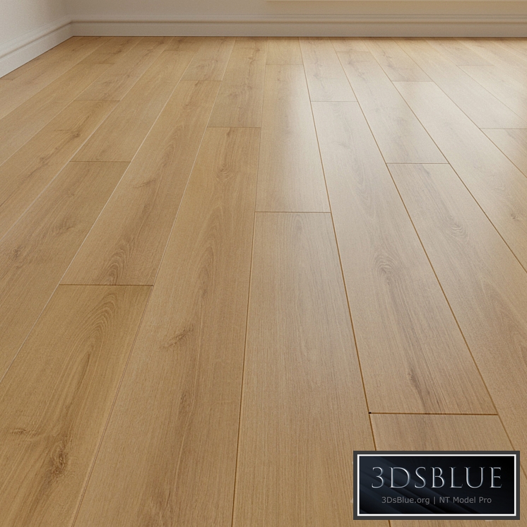 Laminate. Parquet. 160