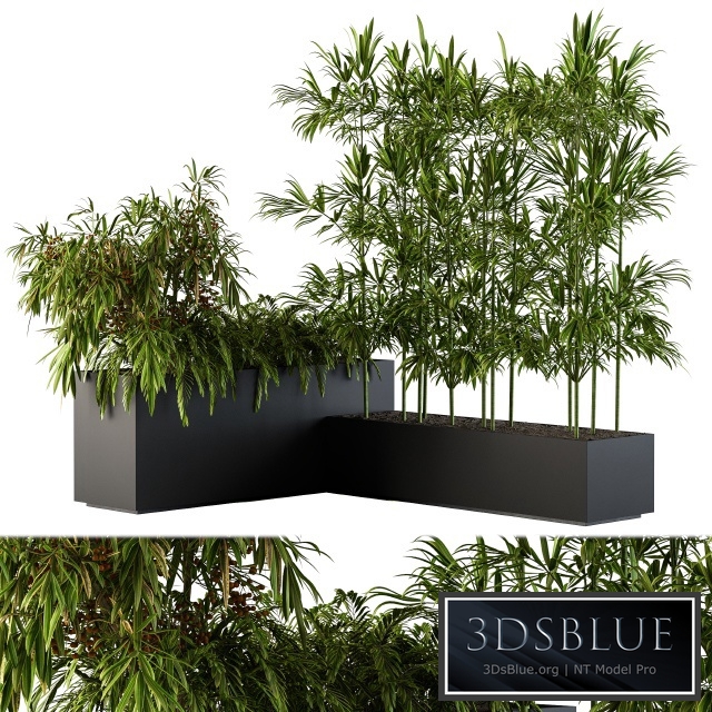 Outdoor Plants Black Plastic Box - Set 73