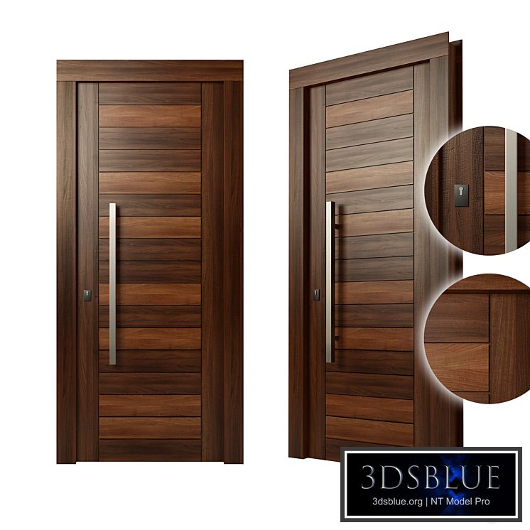 Modern wood door