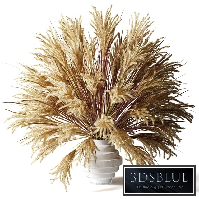 Fluffy bouquet of dry grass with tails in a glass white vase