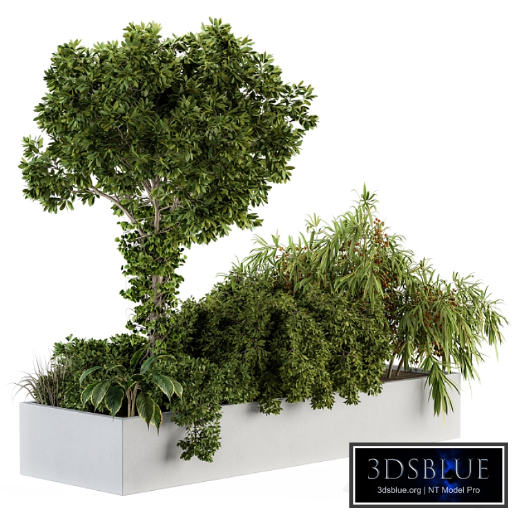 Garden set tropical and Tree - Grden Set 03