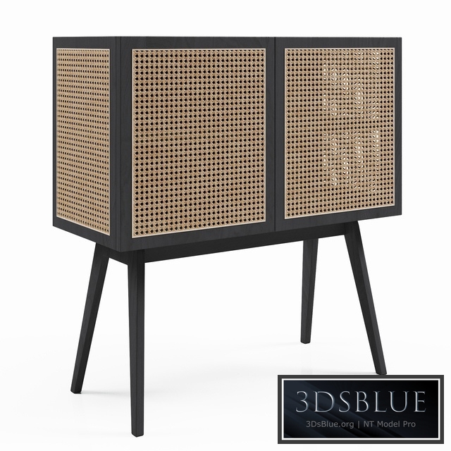 H&M Cabinet with rattan doors