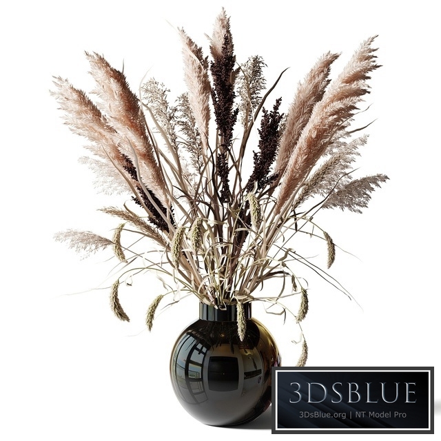 Bouquet of tall dry grass in a black vase