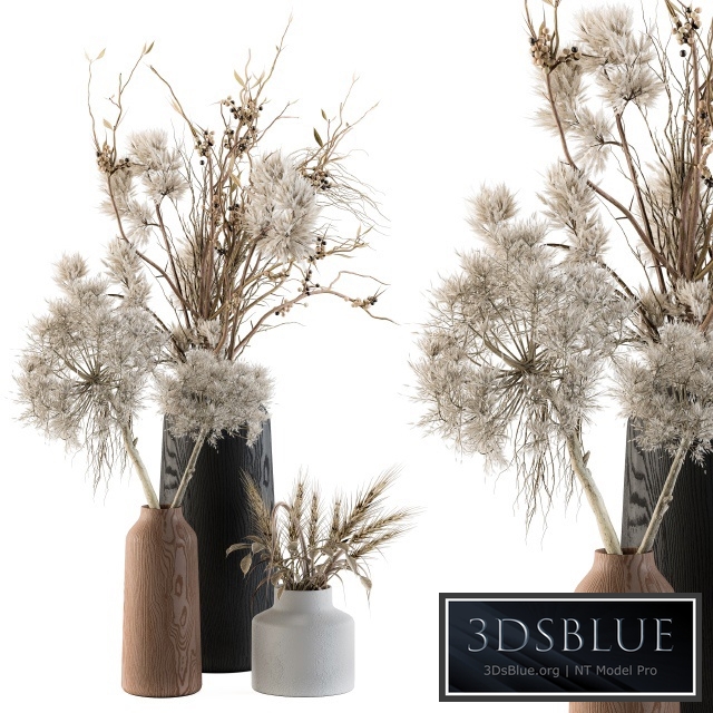 Dry plants 33 - Pampas and Dried Branch