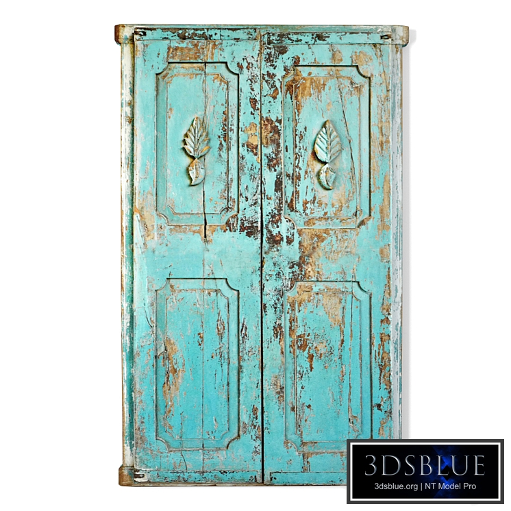 Vintage Blue Shutter Door