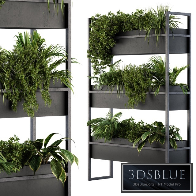 Black Box Plants on stand 05