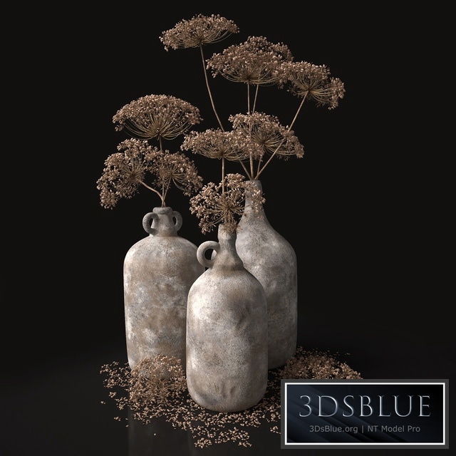 Jugs with dry dill stalks