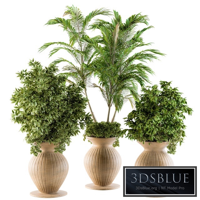 Outdoor Plants - Set 88