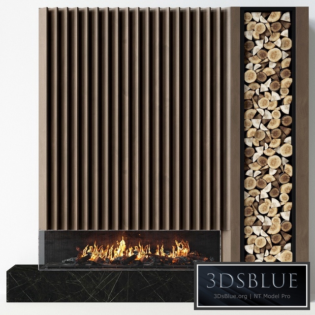 Fireplace modern 55